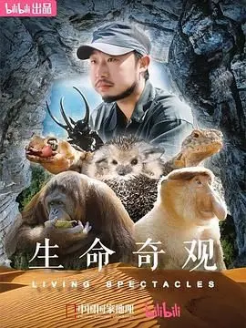 《生命奇观》：一部关于战神老爹的史诗级催泪弹！《现实之舞》般震撼！