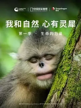 《我和自然 心有灵犀》第一季：生命的力量！这部纪录片让你重新认识地球！